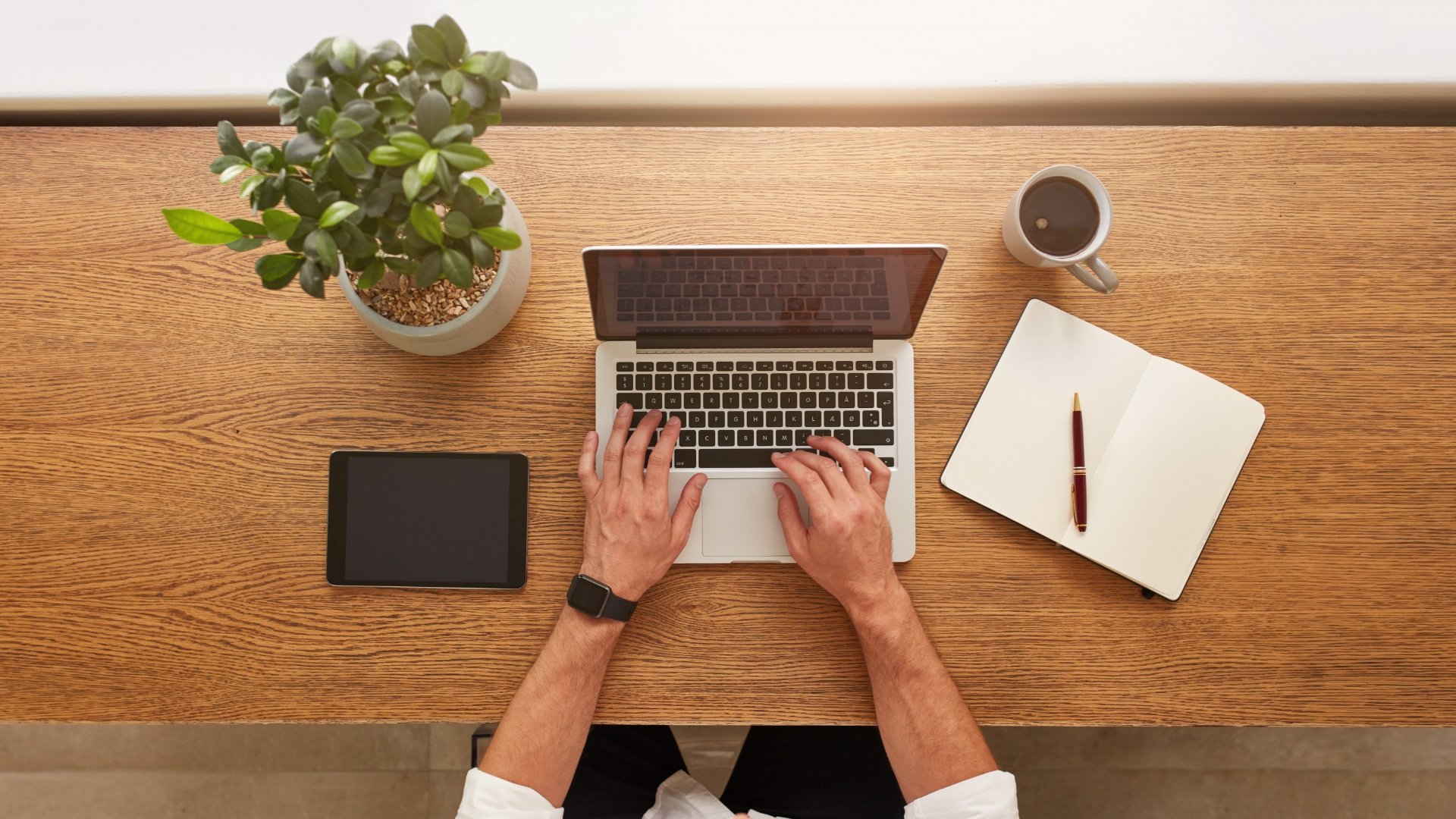 RESCUE SUPPORT web tasarım avantaj